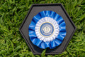 Rosette Wall Display