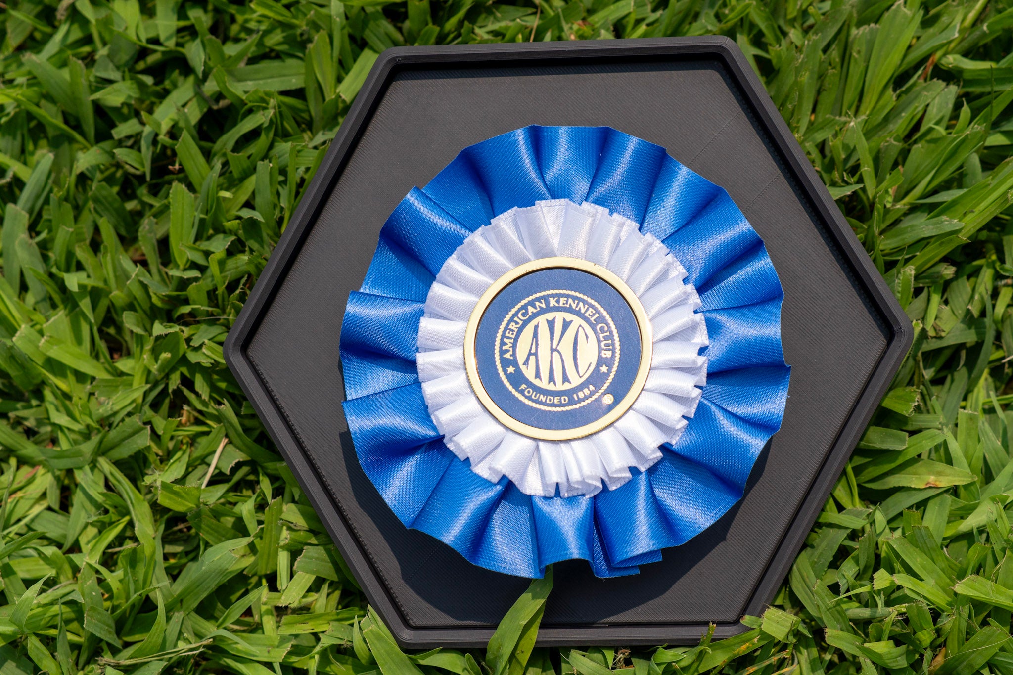 Rosette Wall Display