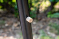 Tiny Canister Scent Work Hide