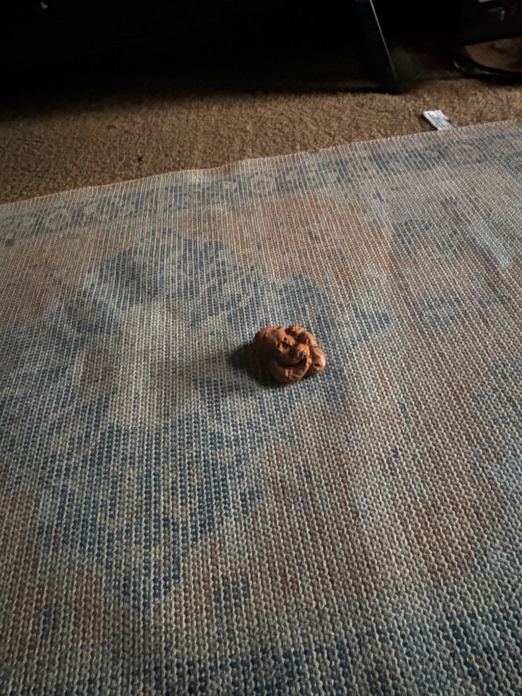 Fake poop scent work vessel