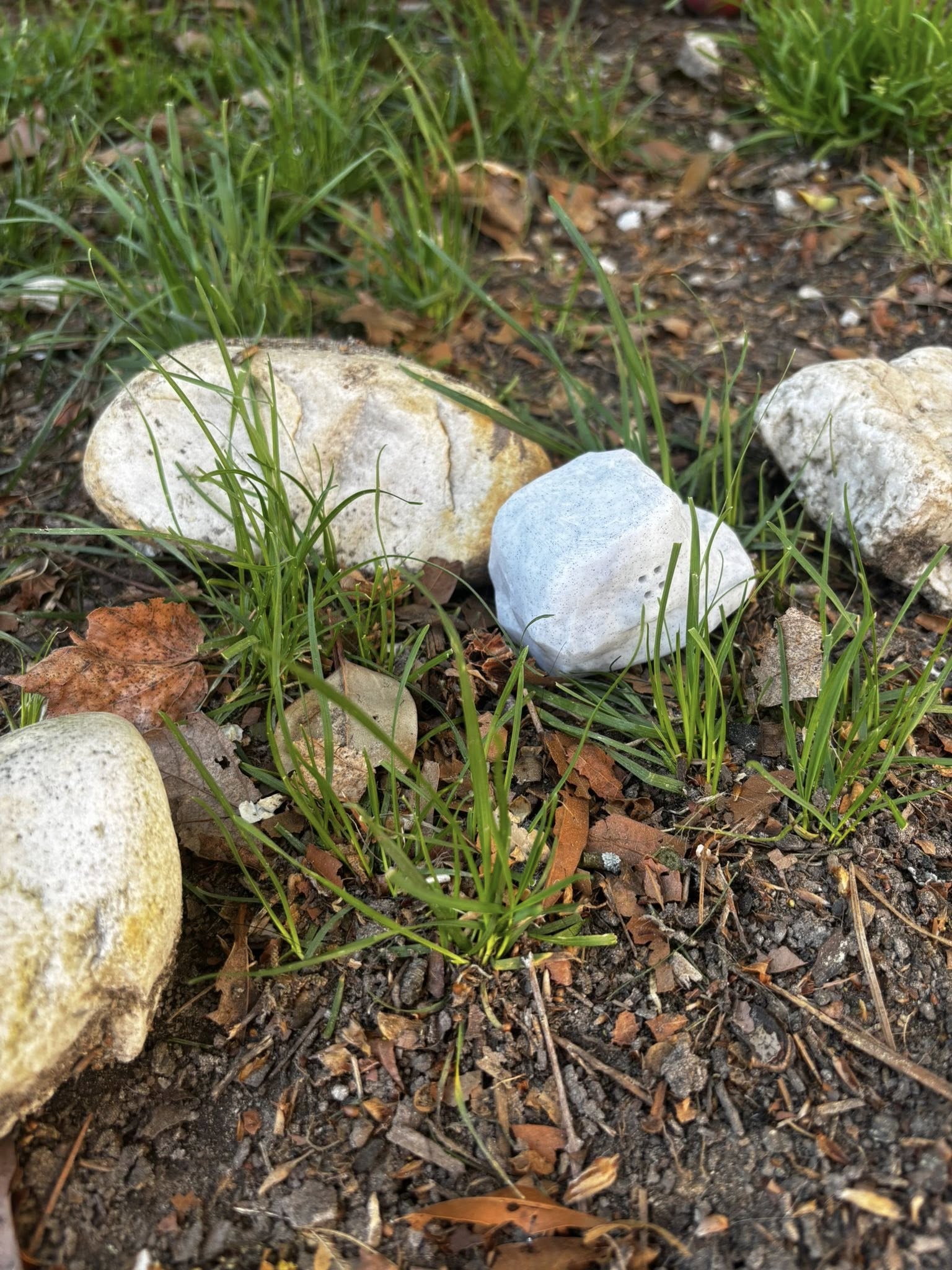 Premade V1 Rock Hide