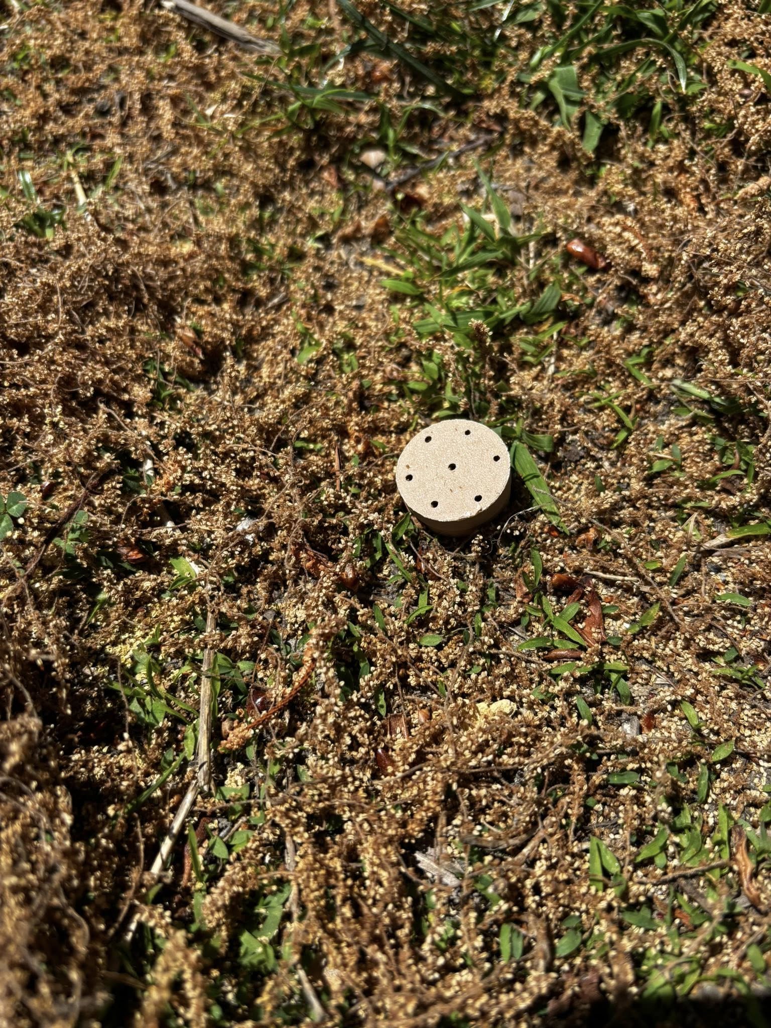 Ground Hide