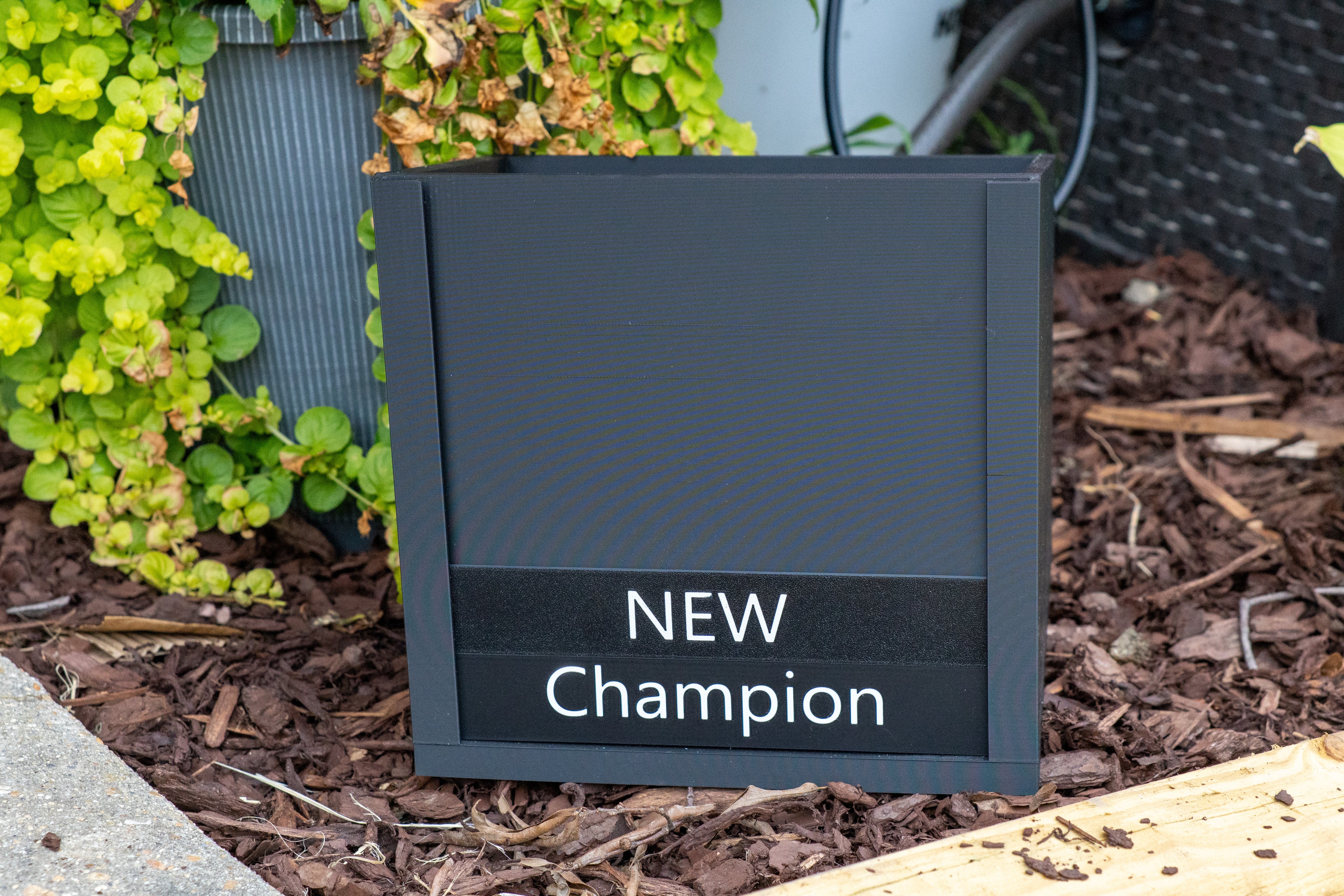 Win Photo Display Placard Box with Interchangeable Title Inserts