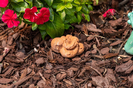 Fake Poop Scent Work Vessel