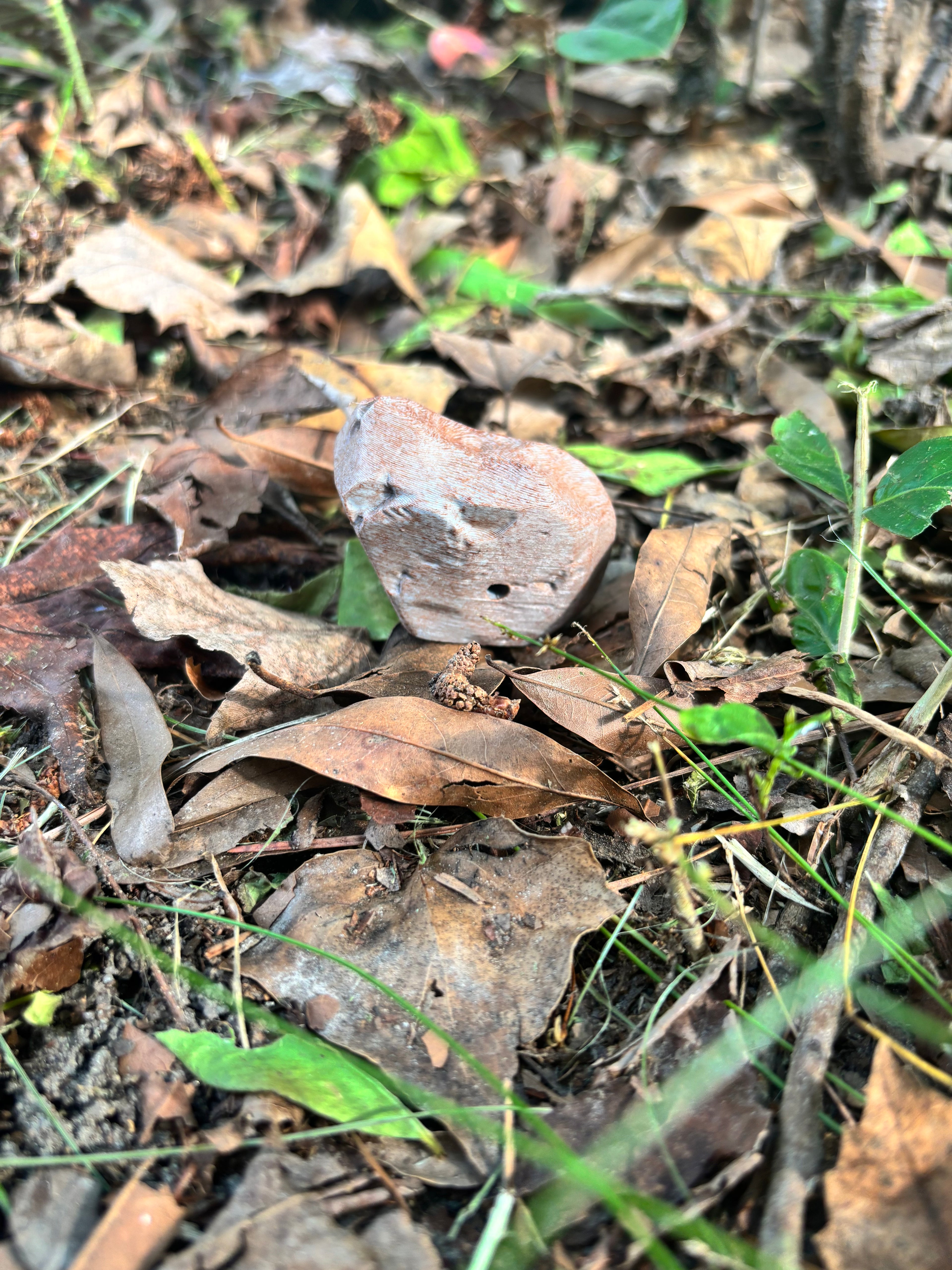 Rock scent work hides