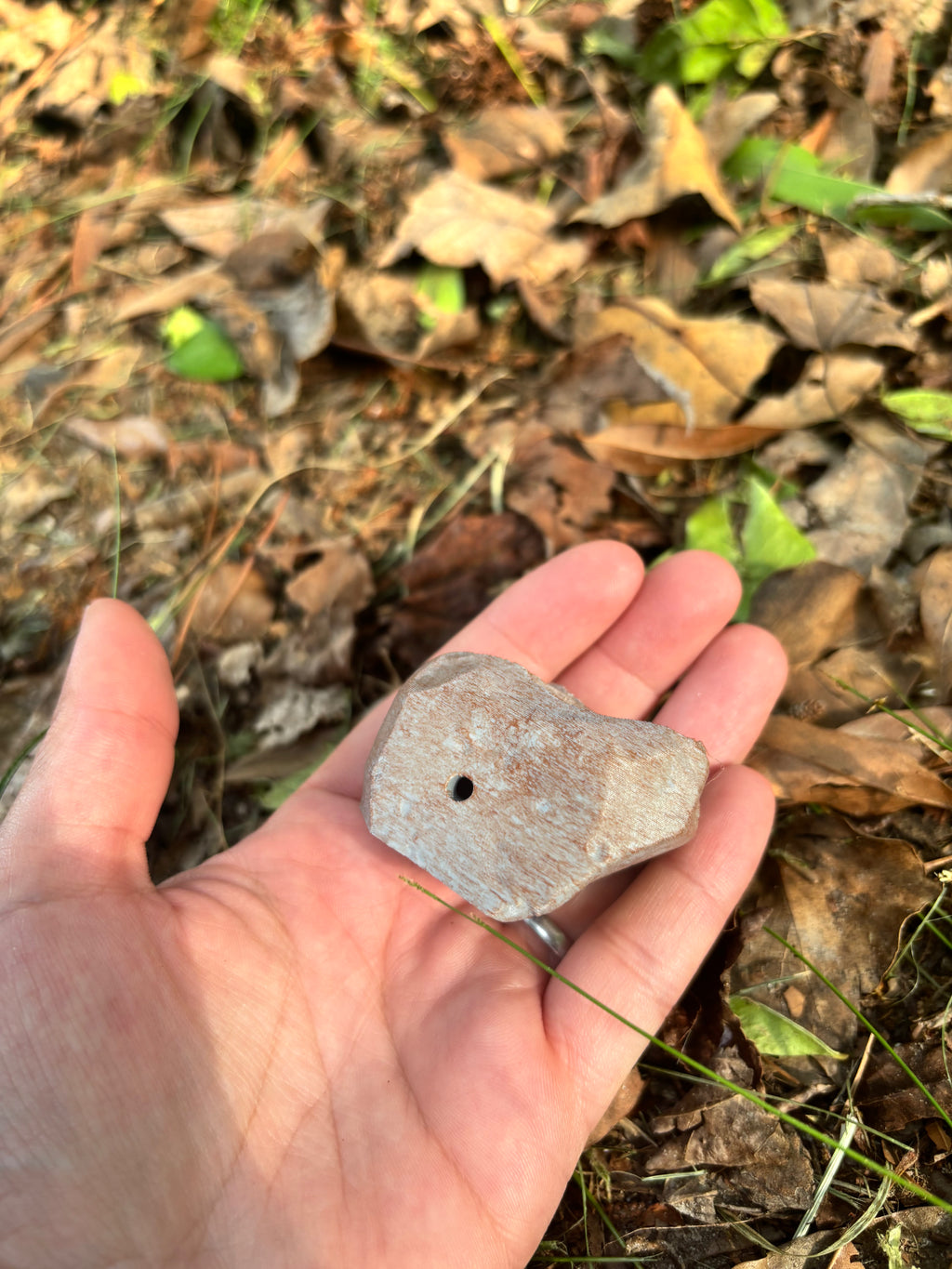 Rock scent work hides