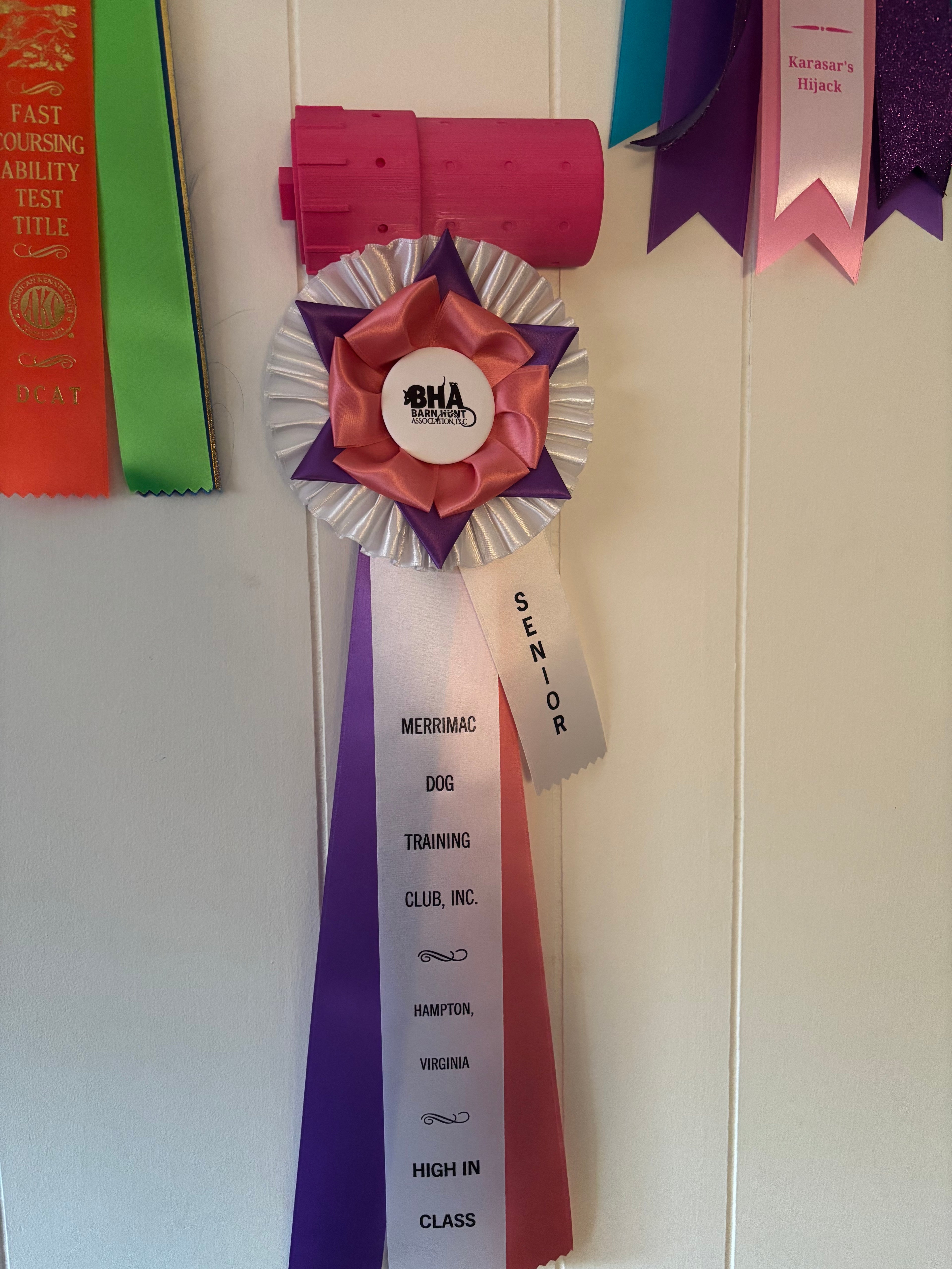 Barn Hunt ribbon display