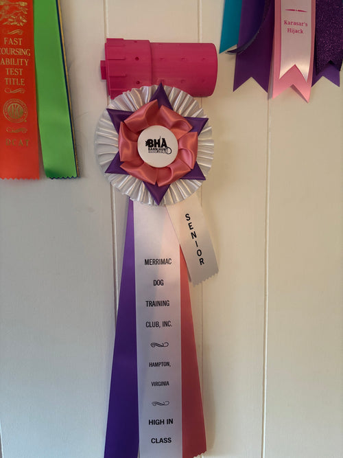 Barn Hunt ribbon display