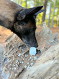 Rock scent work hides
