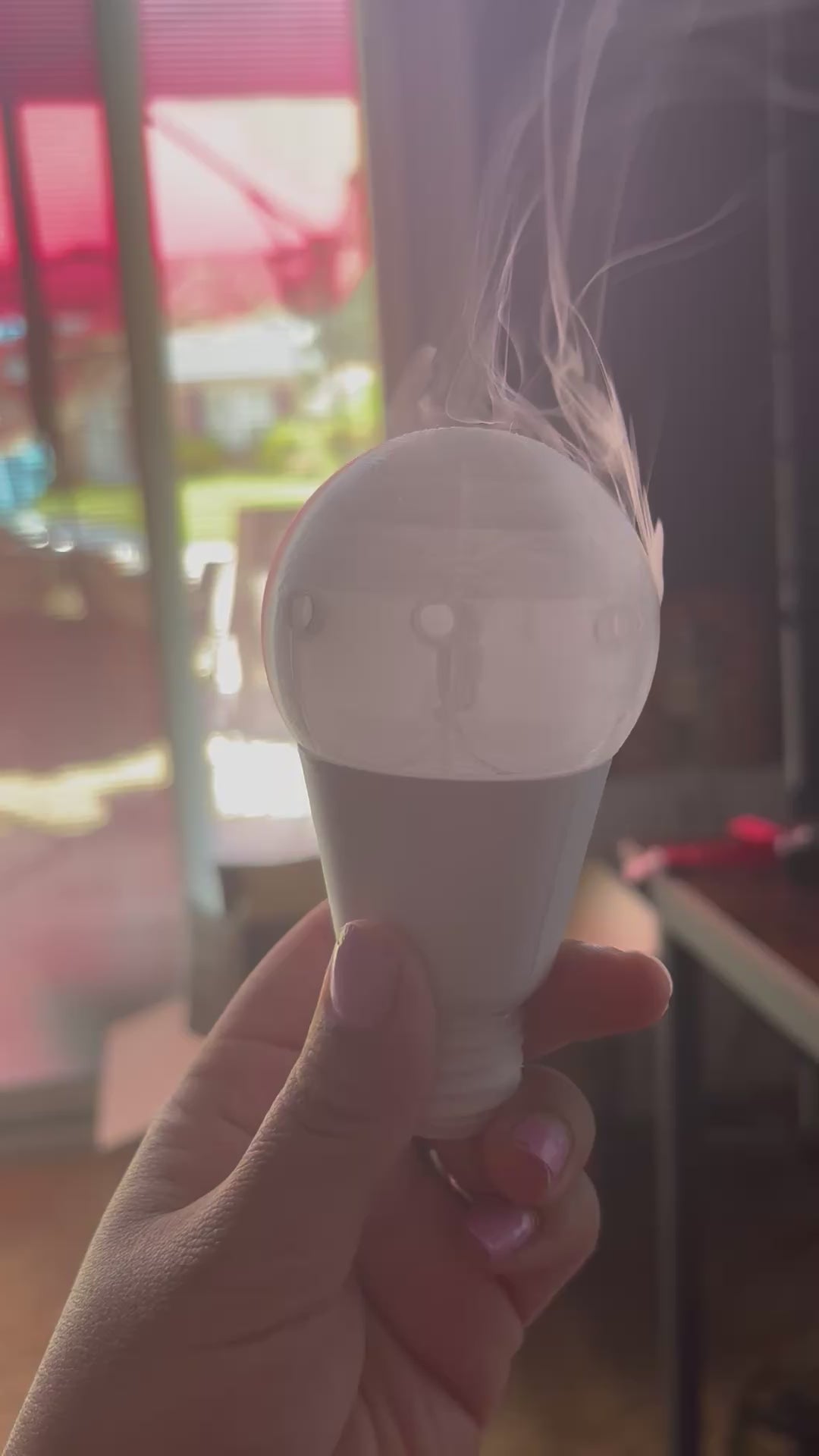 Light Bulb Scent Work Hide